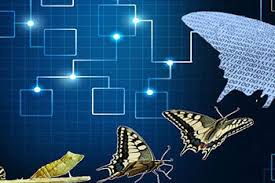 Future of Consumter Electric Services