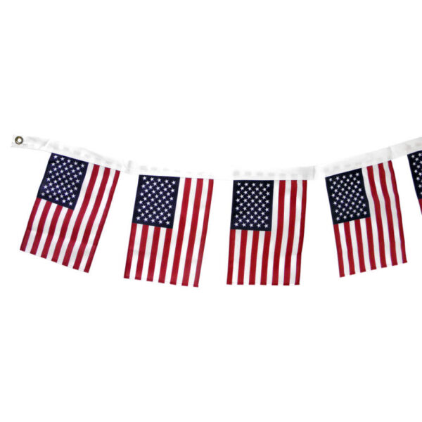 U.S. 8″x12″ Patriotic String Flags